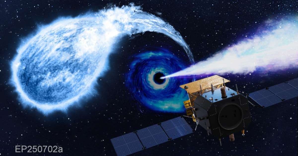 Einstein Probe May Have Caught a Black Hole Tearing Apart a White Dwarf for the First Time